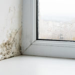 ASL Mould Condensation Damp Issues Liverpool