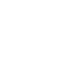rics lion.png